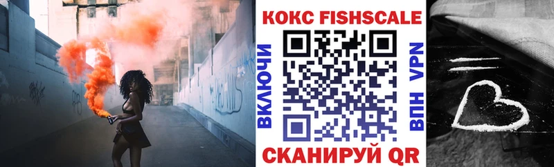 КОКАИН Fish Scale  как найти закладки  Судогда 