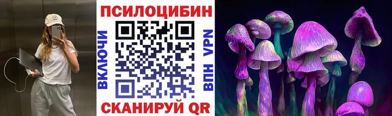 ОМГ ОМГ как войти  Судогда  Галлюциногенные грибы ЛСД 
